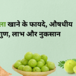 आंवला-खाने-के-फायदे-औषधीय-गुण-लाभ-और-नुकसान