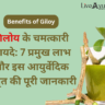 गिलोय के चमत्कारी फायदे