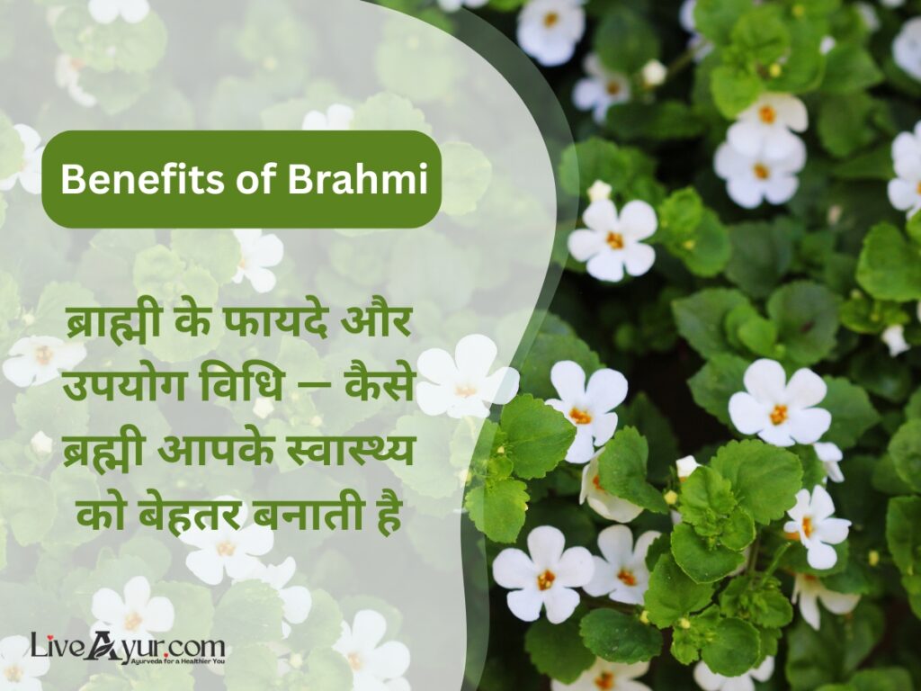 Brahmi Health Benefits in Hindi: दिमाग तेज़ करने और नींद सुधारने वाली जड़ी-बूटी
