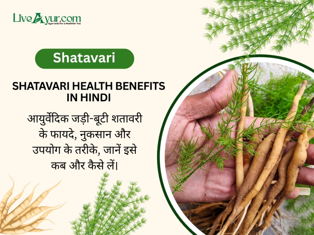 शतावरी के फायदे, उपयोग, नुकसान और सावधानियाँ | Shatavari Benefits, Uses, Side Effects in Hindi