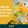 गर्मियों में पौधों को पानी, खाद और छाया कैसे दें | Plant Care Tips in Summer